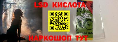 дживик Бийск