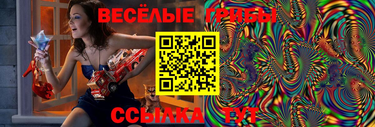 Галлюциногенные грибы ЛСД Карталы