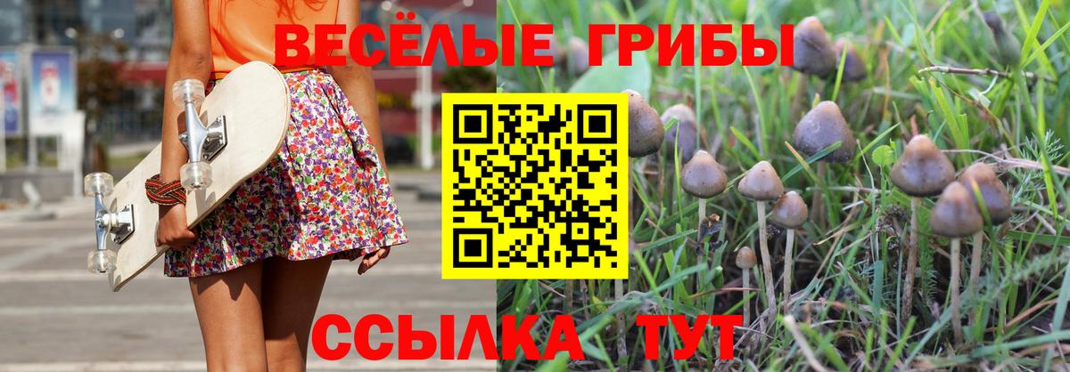 Галлюциногенные грибы Magic Shrooms  Псилоцибиновые грибы Magic Shrooms  Вход с VPN  Карталы 
